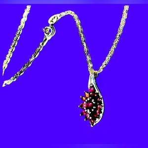 Fine Jewelry Amethyst S. Silver Necklace-SS rope Chain